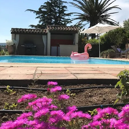 Les Arbousiers